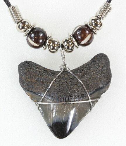 Polished Megalodon Tooth Necklace #43174